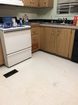 Lisa Cleaning  Company