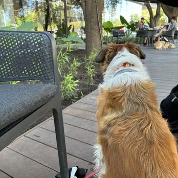 Cafe At The Loren - Cafes Near Me - Austin, Texas