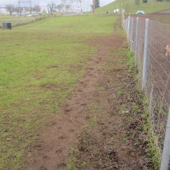 Ike Memorial Off-leash Dog Park - Ross Off-Leash Dog Recreation Area, small dog section - Dog Parks Near Me - Vancouver, Washington Ike Memorial Off-leash Dog Park - Ross Off-Leash Dog Recreation Area, small dog section - Dog Parks Near Me - Vancouver, Washington