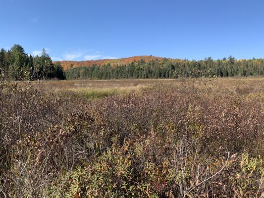 Algonquin Provincial Park by null
