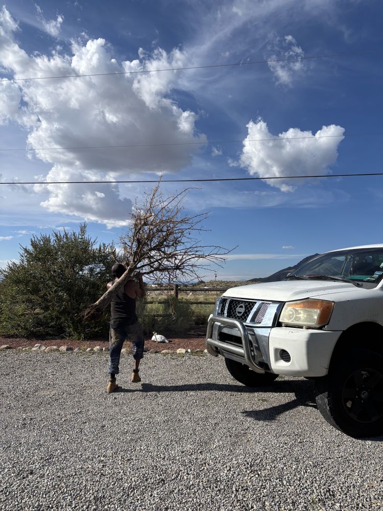 Gene Scape Lawn & Landscaping - tree service in Albuquerque, NM