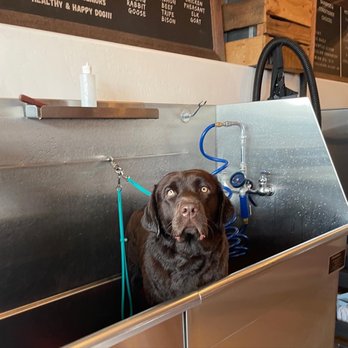 Dog Tub - All fresh and clean - Pet Stores Near Me - Laguna Beach, California
