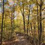 Photo of Humber Arboretum