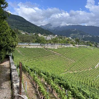 Château du Châtelard - Train station walking distance - Castles Near Me - Montreux, VD