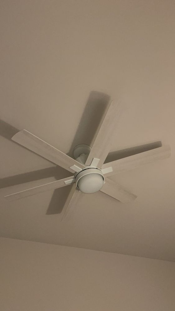 Slide of Dr. Odd Jobs At The Beach