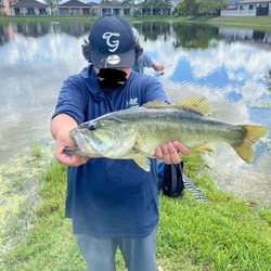 The Fishing Game - Large mouth bass