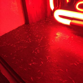 Tapper Pub - Yes, they have wings. Unfortunately they are huge collections of termites. Disgusting. - Pubs Near Me - Tampa, Florida Tapper Pub - Yes, they have wings. Unfortunately they are huge collections of termites. Disgusting. - Pubs Near Me - Tampa, Florida