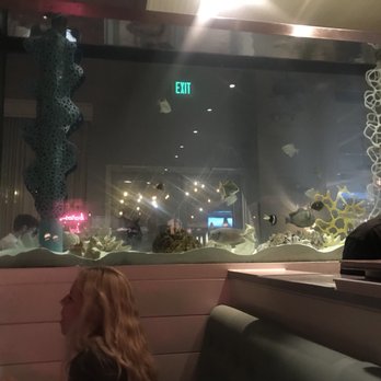 Perla's - Fish tank - Seafood Near Me - Austin, Texas Perla's - Fish tank - Seafood Near Me - Austin, Texas