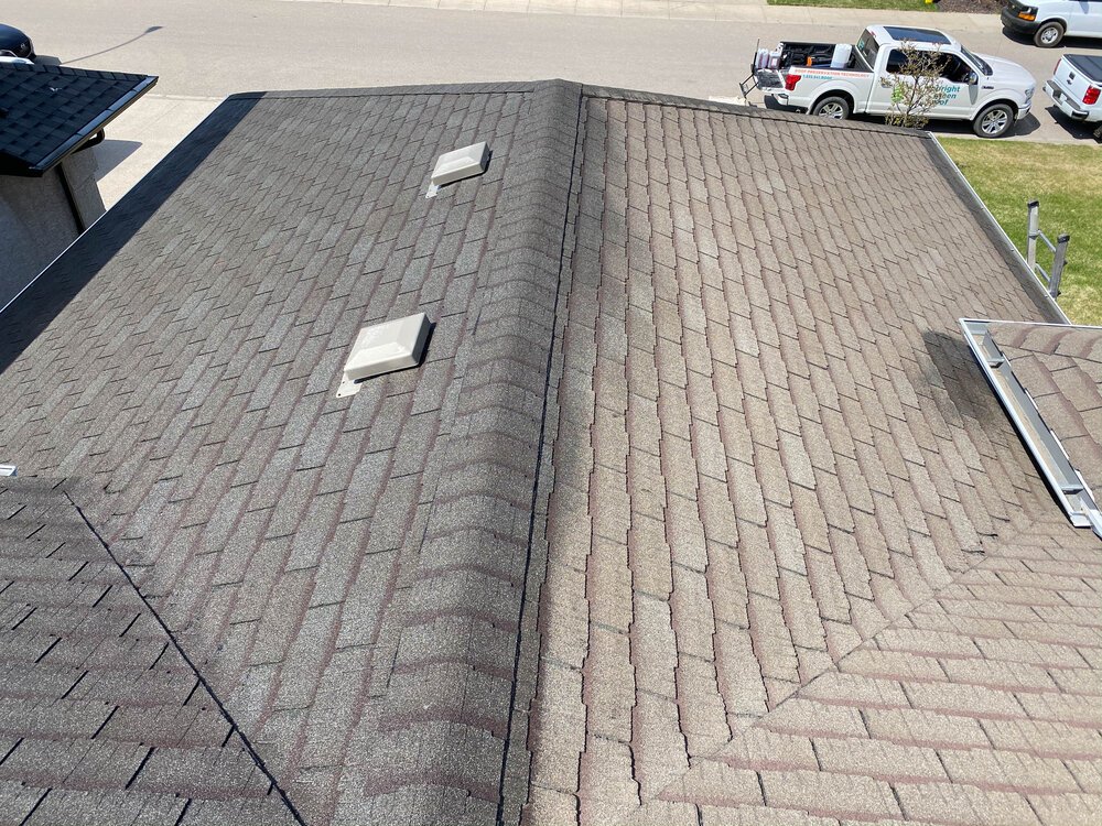 Slide of Bright Green Roof