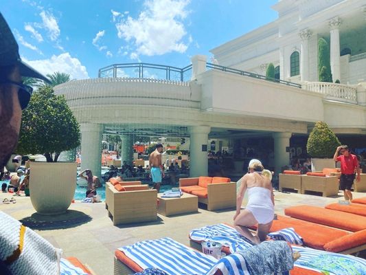 Venus Pool + Lounge by null