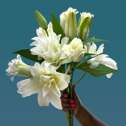 Dolly's Florist