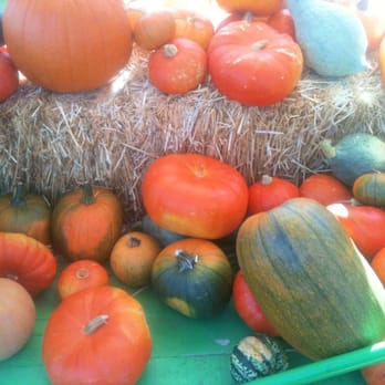 Rainbow Orchards - Enjoying the Autumnal Celebration of Harvest and Beautiful Canopy of Colors - Fruits & Veggies Near Me - Camino, California Rainbow Orchards - Enjoying the Autumnal Celebration of Harvest and Beautiful Canopy of Colors - Fruits & Veggies Near Me - Camino, California