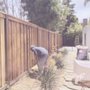 Photo of Garlíf Landscaping & tree service