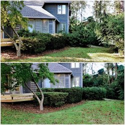 Thomas Lawn Care