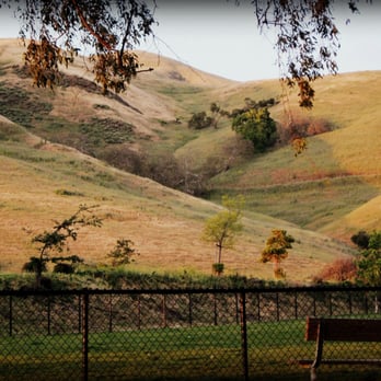 Ed R. Levin County Park - The view from the dog park. - Dog Parks Near Me - Milpitas, California Ed R. Levin County Park - The view from the dog park. - Dog Parks Near Me - Milpitas, California
