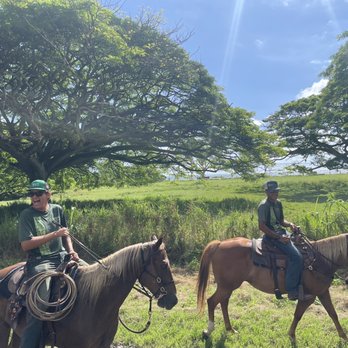 Kualoa Ranch - Tours Near Me - Kaneohe, Hawaii Kualoa Ranch - Tours Near Me - Kaneohe, Hawaii