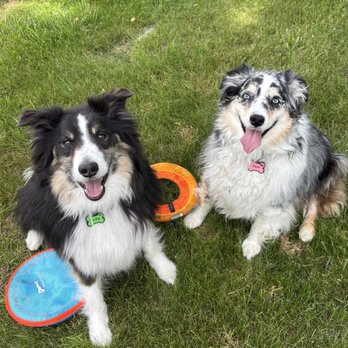Family Veterinary Care - Veterinarians Near Me - Ossining, New York Family Veterinary Care - Veterinarians Near Me - Ossining, New York