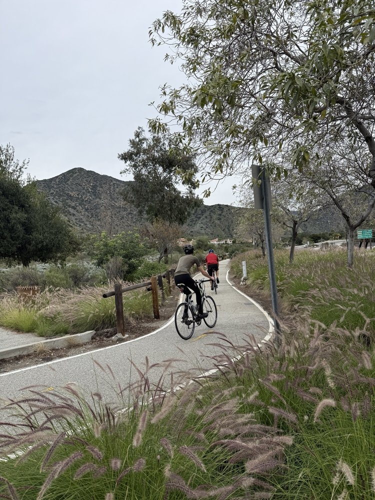 Pedal to the Medal Cycling
