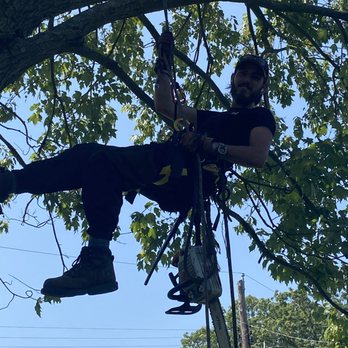 Lane Wallace Patterson Tree Services - Tree Services Near Me