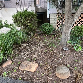 Sterling Tree Care & Gardening - Front yard before work - Tree Services Near Me Sterling Tree Care & Gardening - Front yard before work - Tree Services Near Me