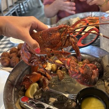 Monstah Lobstah IRB - Seafood Near Me - Indian Rocks Beach, Florida Monstah Lobstah IRB - Seafood Near Me - Indian Rocks Beach, Florida