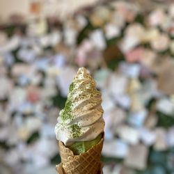 Matcha Cafe Maiko - Matcha & Jasmine Soft Serve