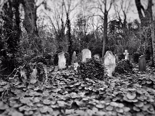 Abney Park Cemetery Trust by null