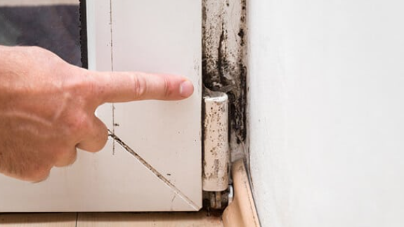 Prokop Environmental - mold inspector in Highlands Ranch, CO