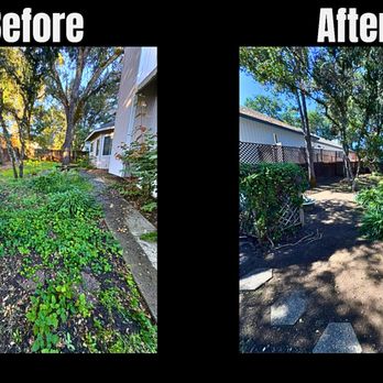 The Grass Guy - Landscaping Near Me