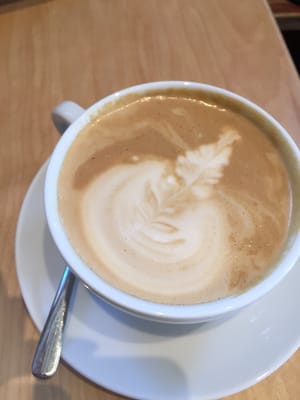 Elm Coffee Roasters by null