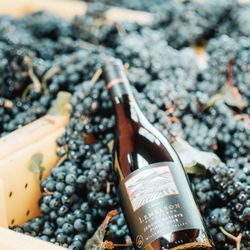 Lemelson Vineyards