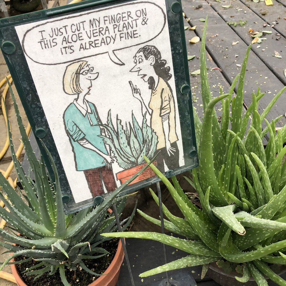 DeMonye's Greenhouse - Nurseries & Gardening Near Me - Columbus, Ohio DeMonye's Greenhouse - Nurseries & Gardening Near Me - Columbus, Ohio