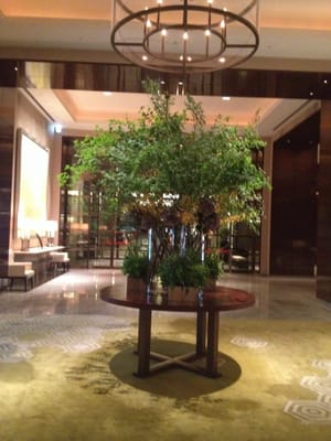 Palace Hotel Tokyo by null