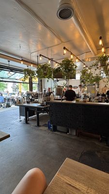 Aviano Coffee on 2nd by null