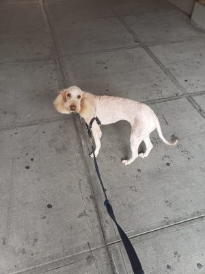 INWOOD ANIMAL CLINIC - Updated February 2026 - 246 Photos & 219 Reviews