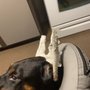 Photo of Leonard Animal Hospital