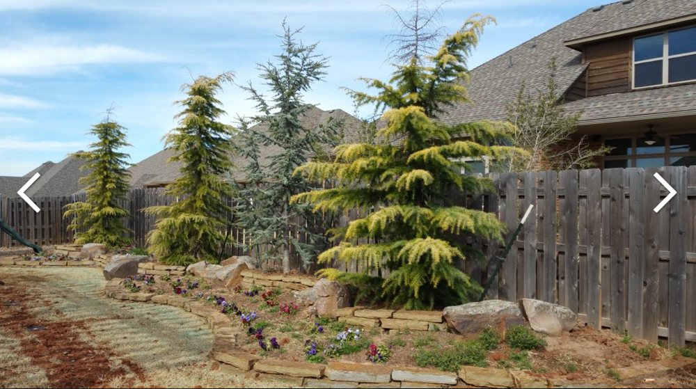 Red Dirt Landscaping - septic in Oklahoma City, OK