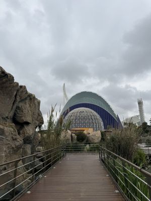 Oceanogràfic València by null
