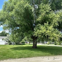 Sycamore Rv Resort