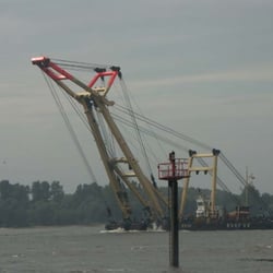 Naturschutzgebiet Neßsand