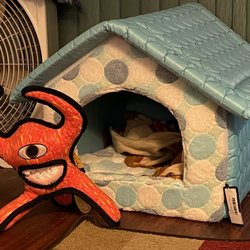 The Real Dogs - Dog house for Luna and a new friend