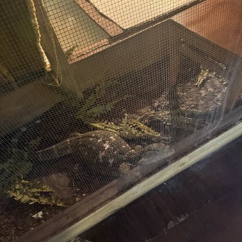 Gator Country - Zoos Near Me - Beaumont, Texas