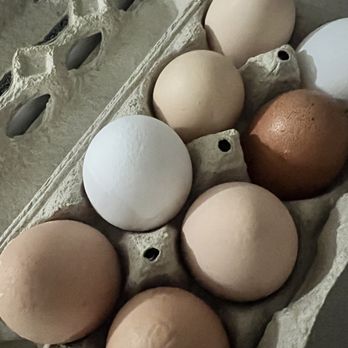 Heritage Market - fresh Eggs - Farmers Market Near Me - Homestead, Florida Heritage Market - fresh Eggs - Farmers Market Near Me - Homestead, Florida