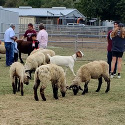 Escondido High FFA