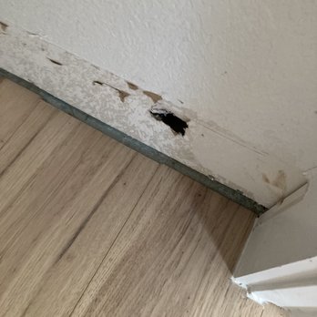 LL Flooring - Austin - damaged drywall from removal of baseboards which is still like this - Flooring Near Me - Austin, Texas