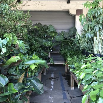 Rolling Greens - Home Decor Near Me - Los Angeles, California