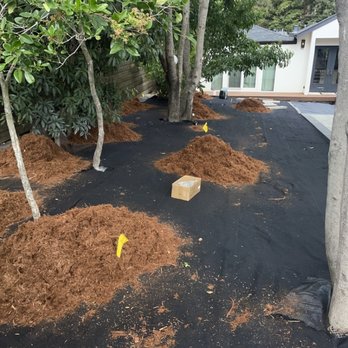 Paco Landscaping - Landscaping Near Me Paco Landscaping - Landscaping Near Me