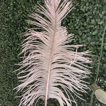 Moonlight Feather - So this is #1 quality - Art Supplies Near Me - Ventura, California