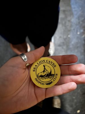 Sea Lion Caves by null