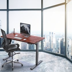 Progressive Desk - Interior use solo rizer